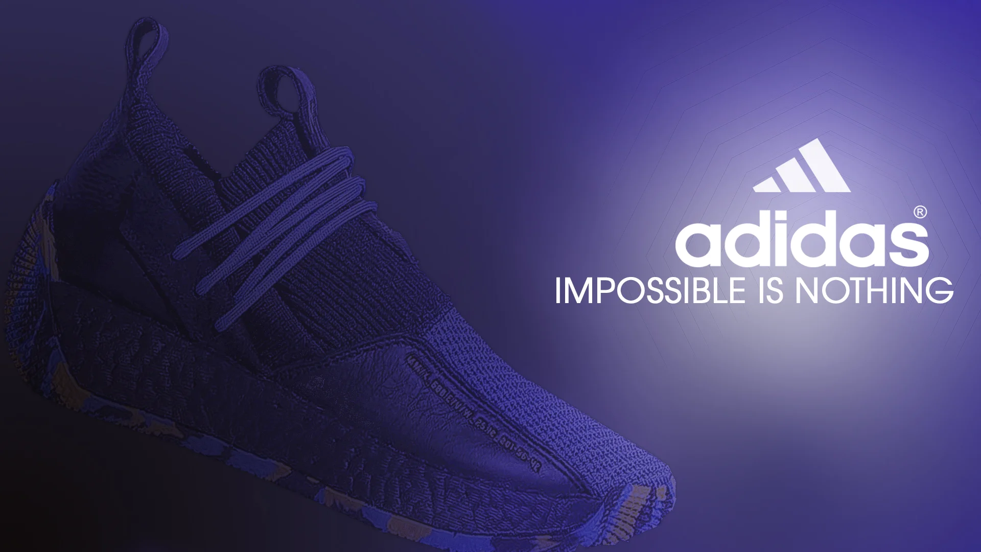 adidas pg 1.jpg