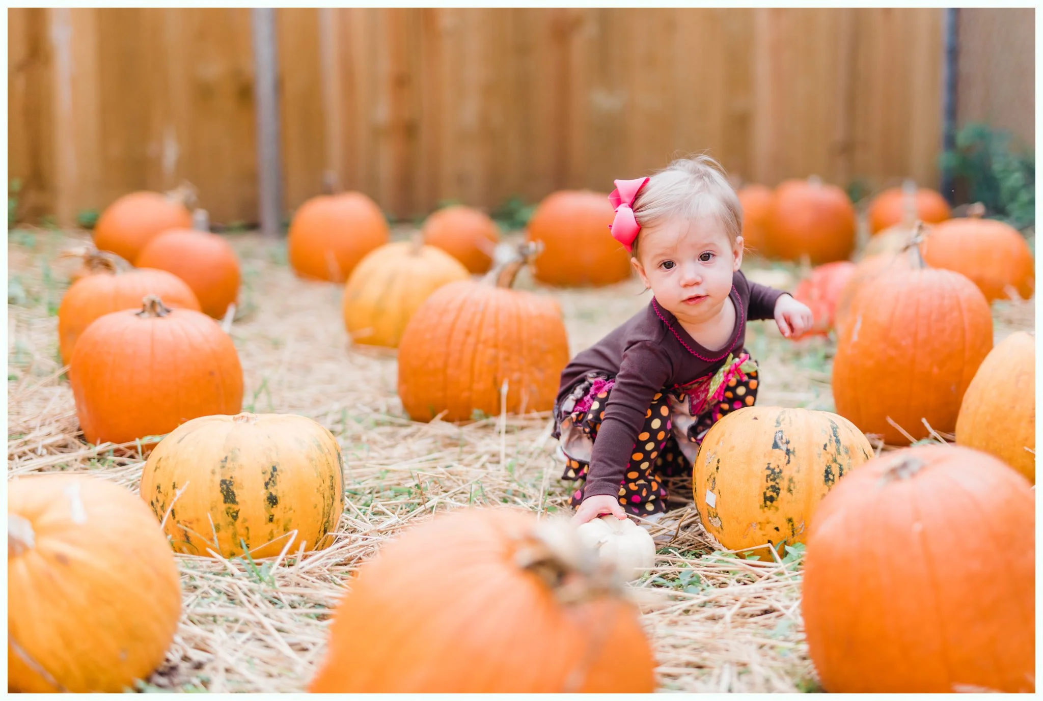 Pumpkin Patch Session_2927.jpg