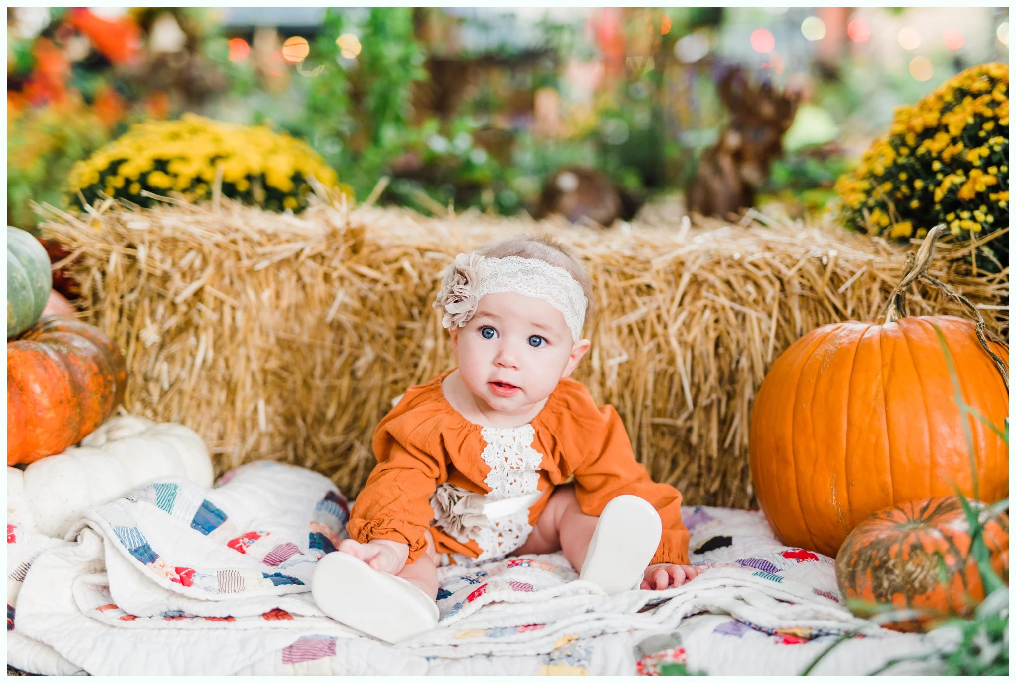 Pumpkin Patch Session_2939.jpg