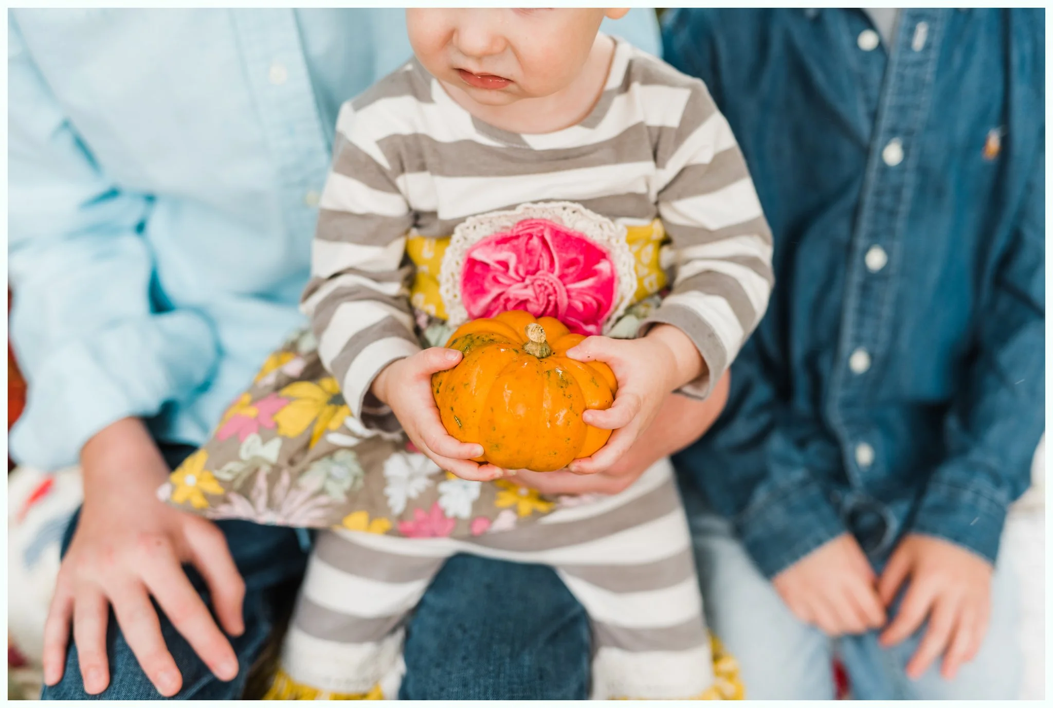 Pumpkin Patch Session_2943.jpg