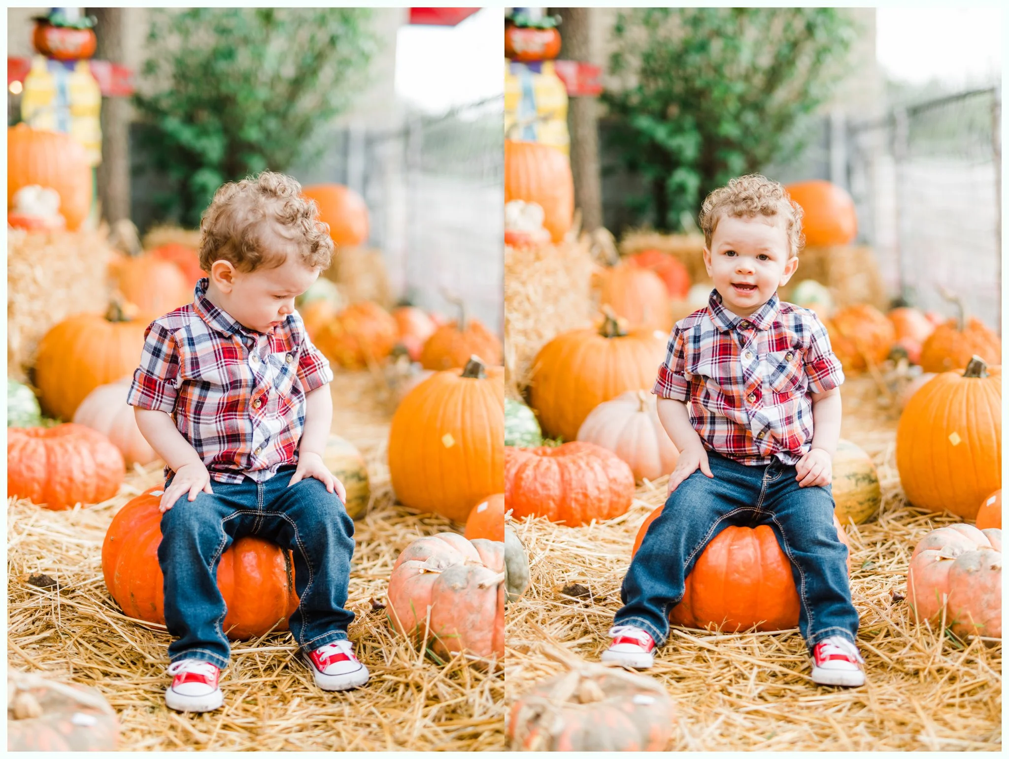 Pumpkin Patch Session_2952.jpg