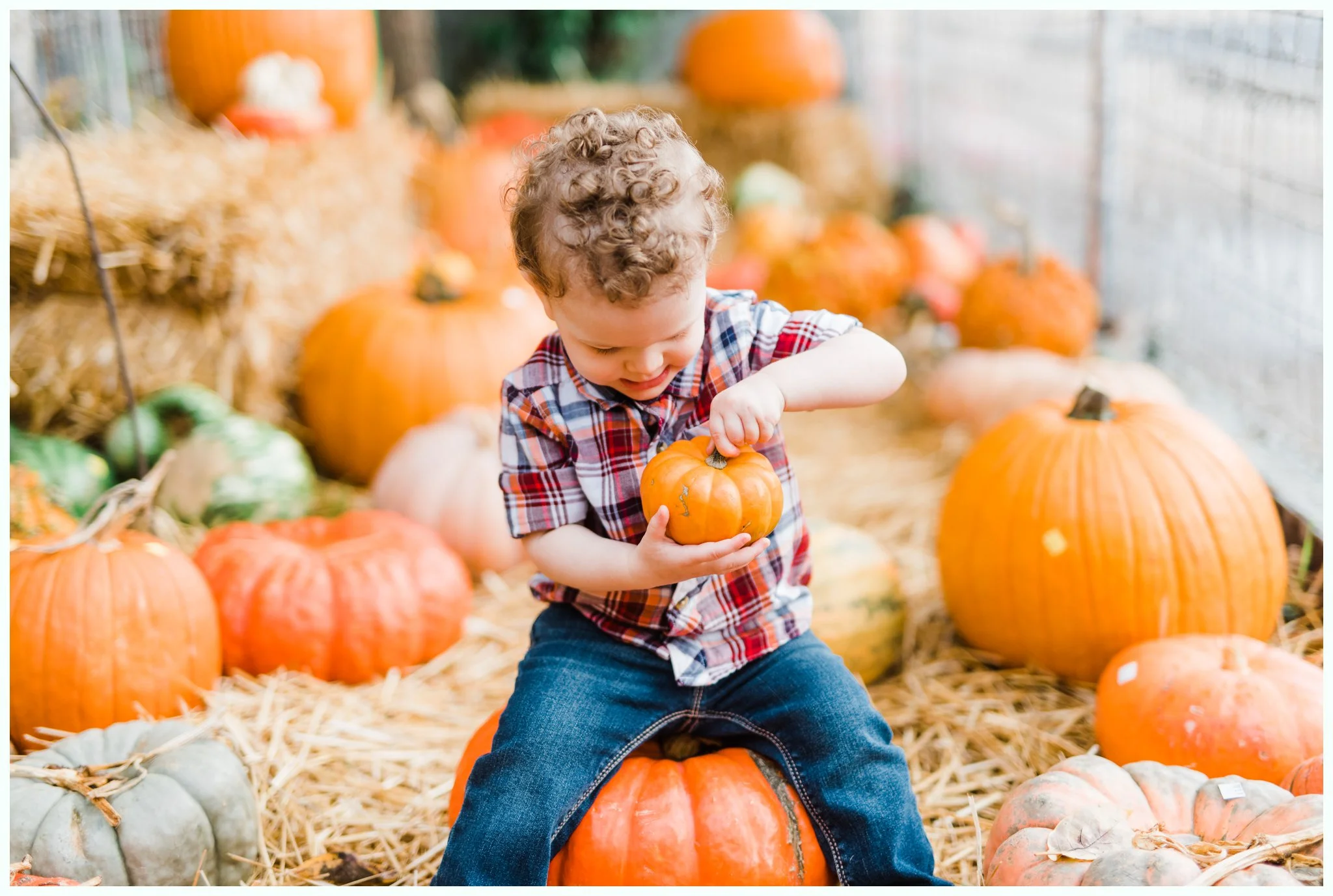 Pumpkin Patch Session_2953.jpg