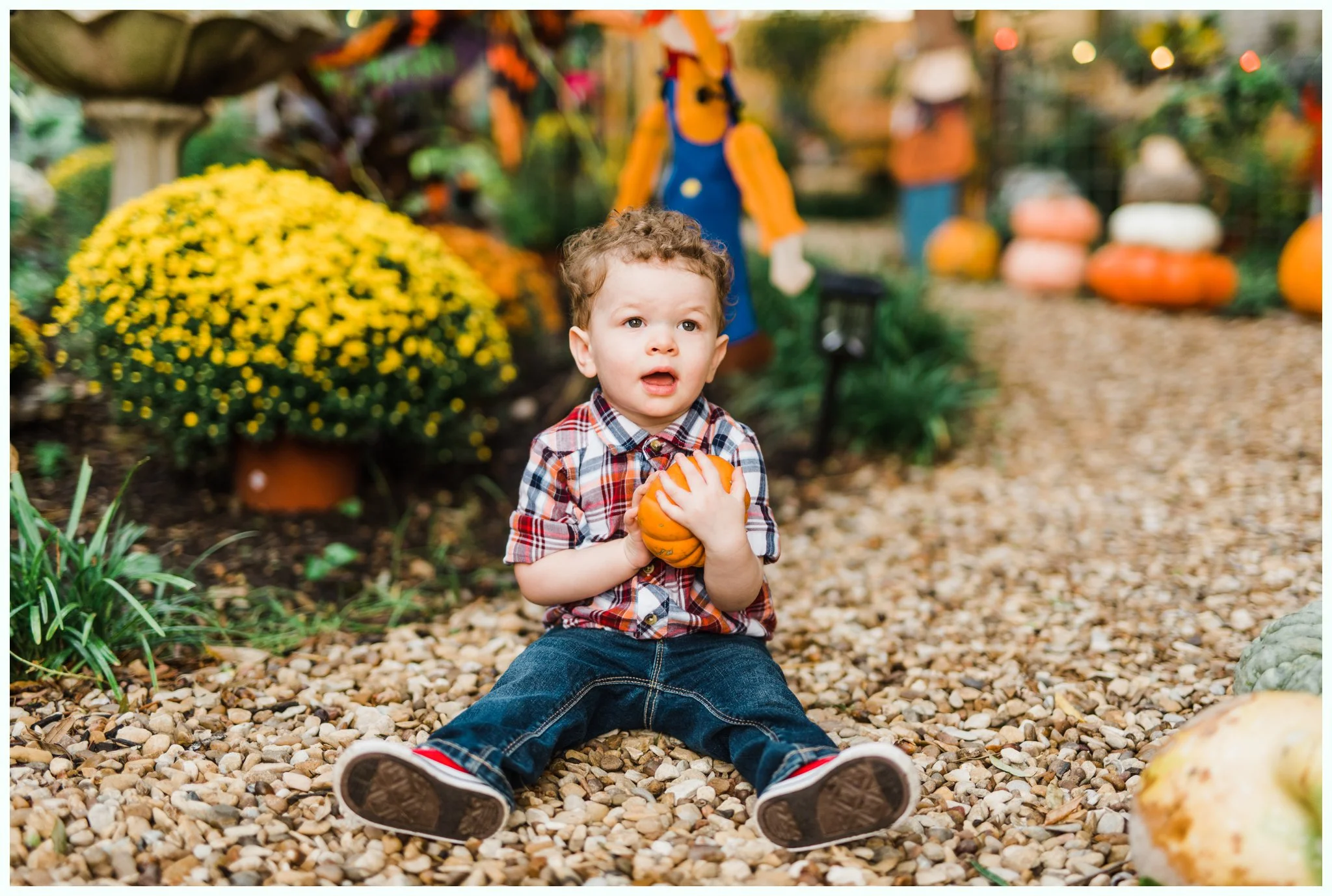 Pumpkin Patch Session_2954.jpg