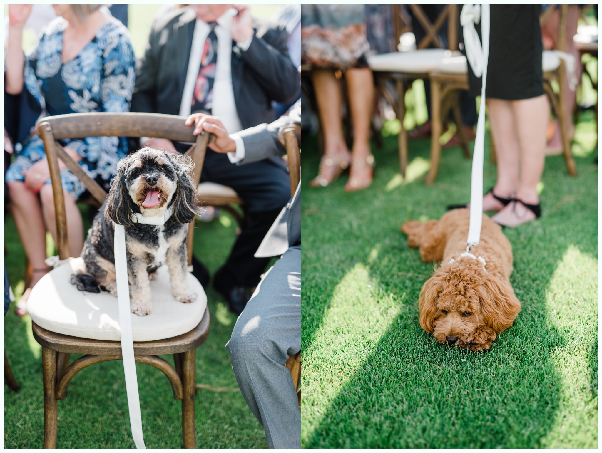 Corey&Haleighwedding_4850.jpg