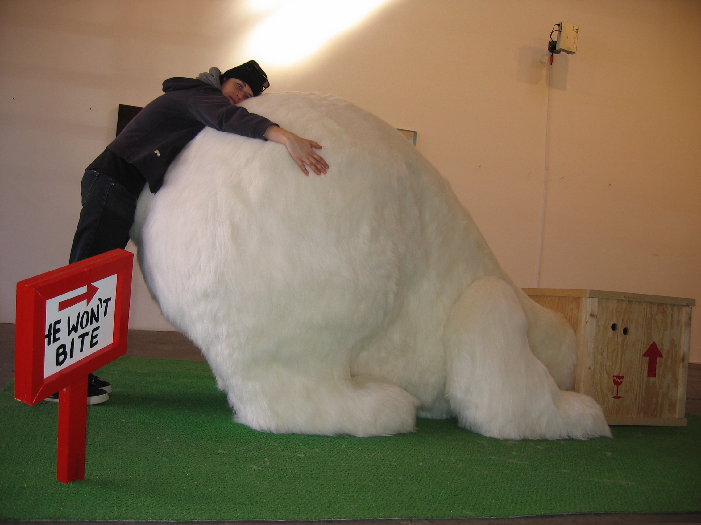 biggary_2.jpg