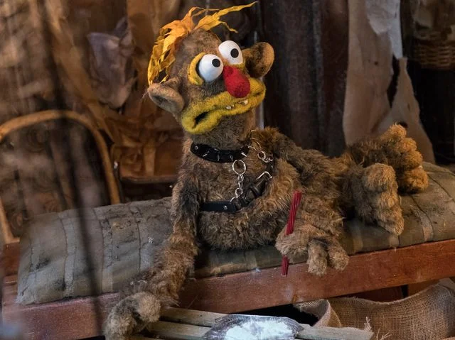 goofer.jpg