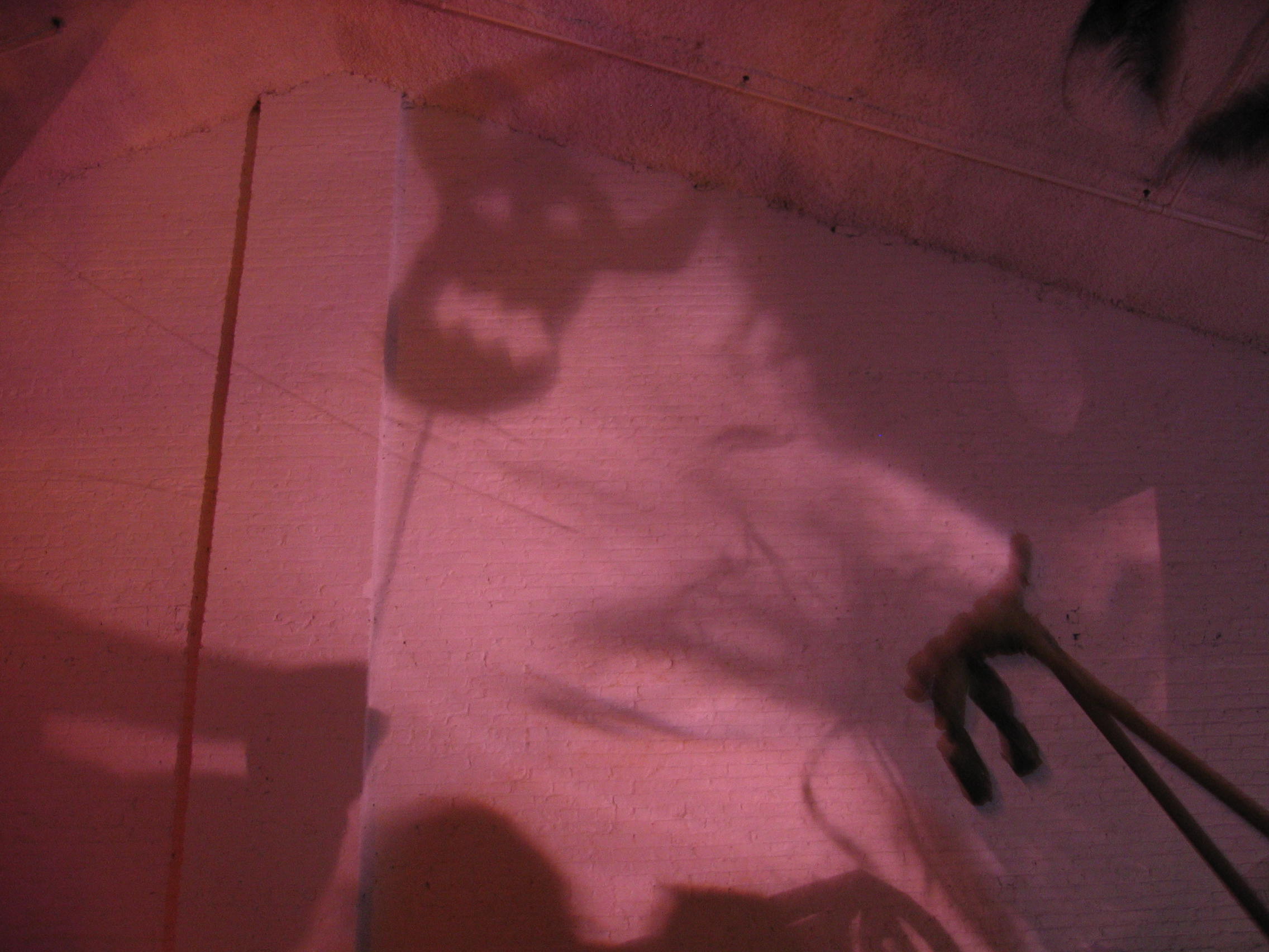 104_0441shadow2.jpg