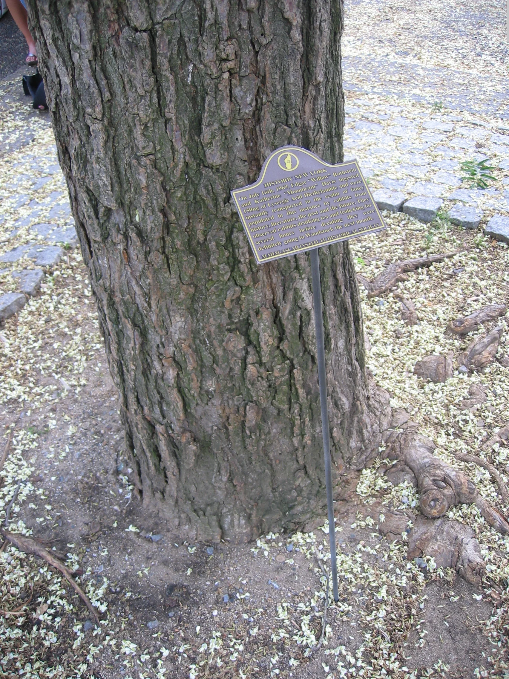 fakehistorywashsqpark.jpg