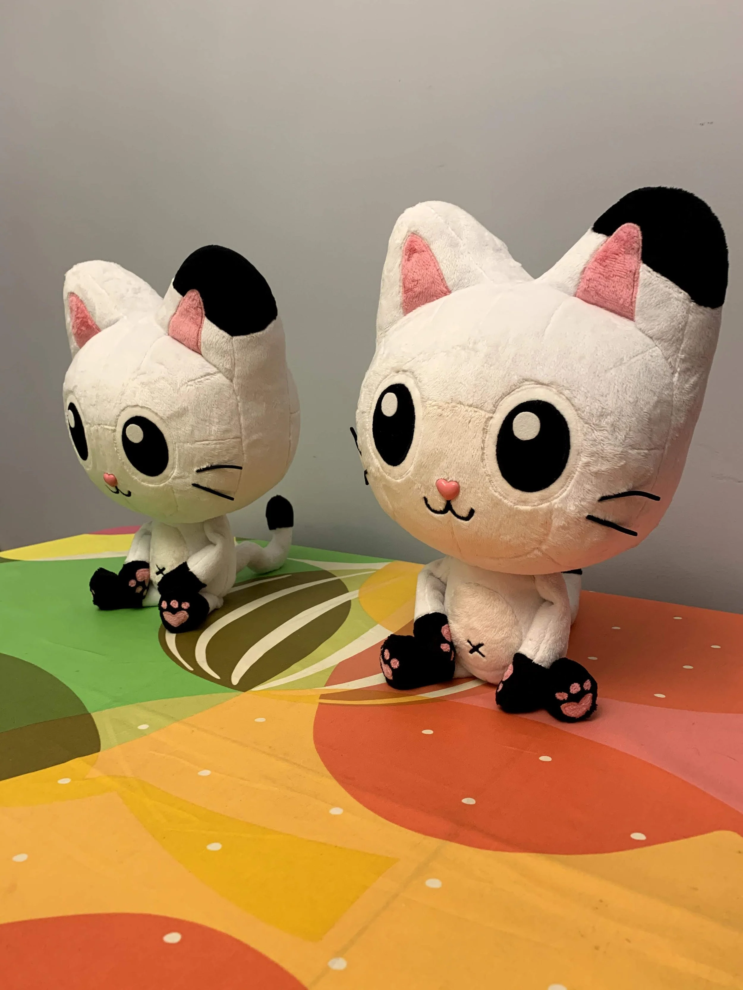 Pandy.jpg