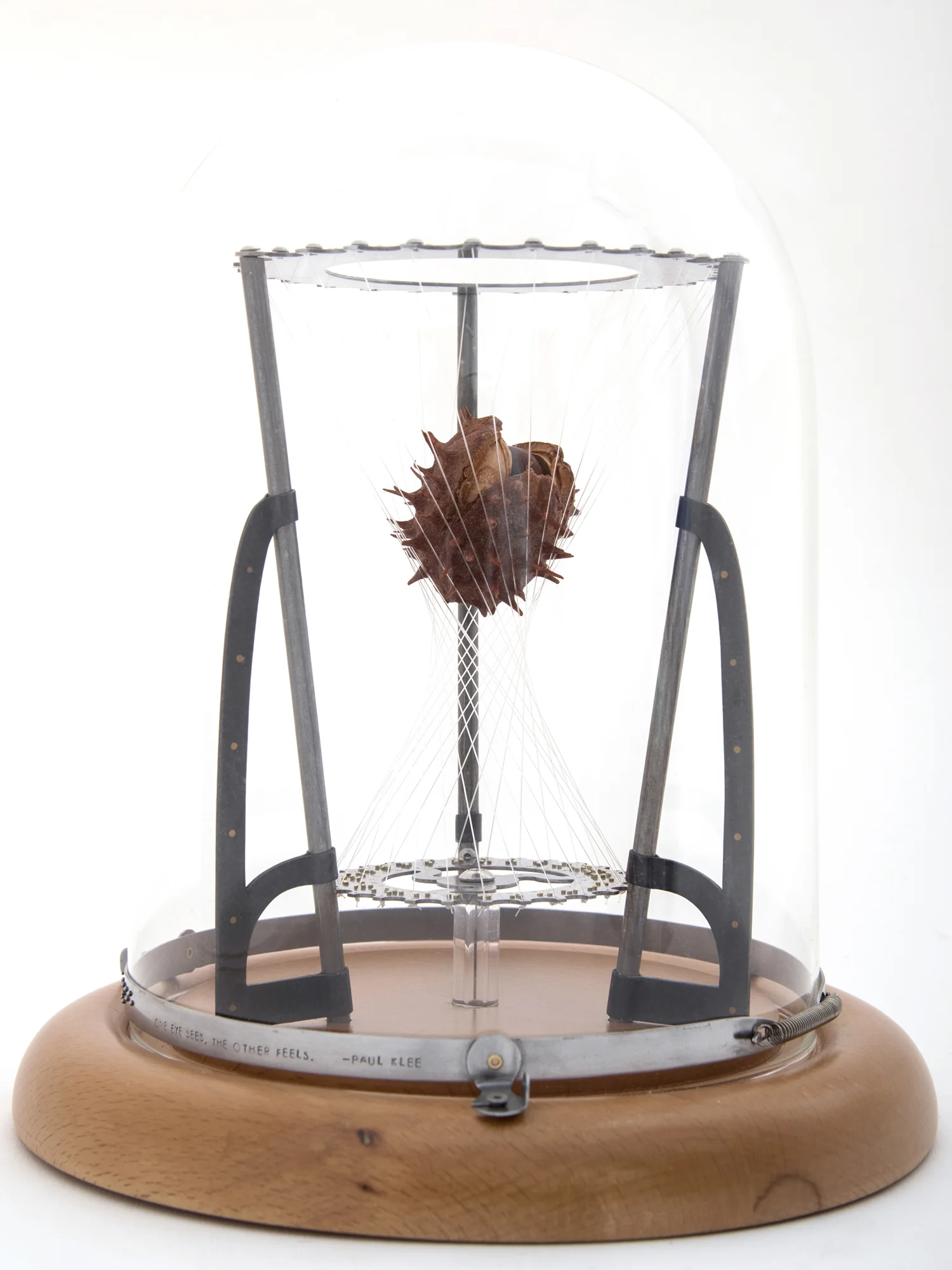 susiemathre-chestnut-front overview.jpg