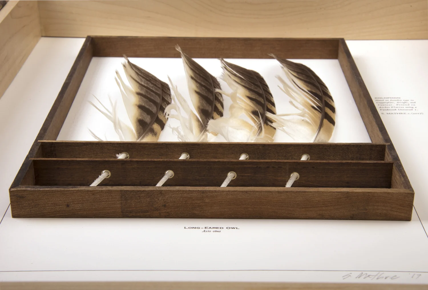 susiemathre-maple-feather bottom.jpg