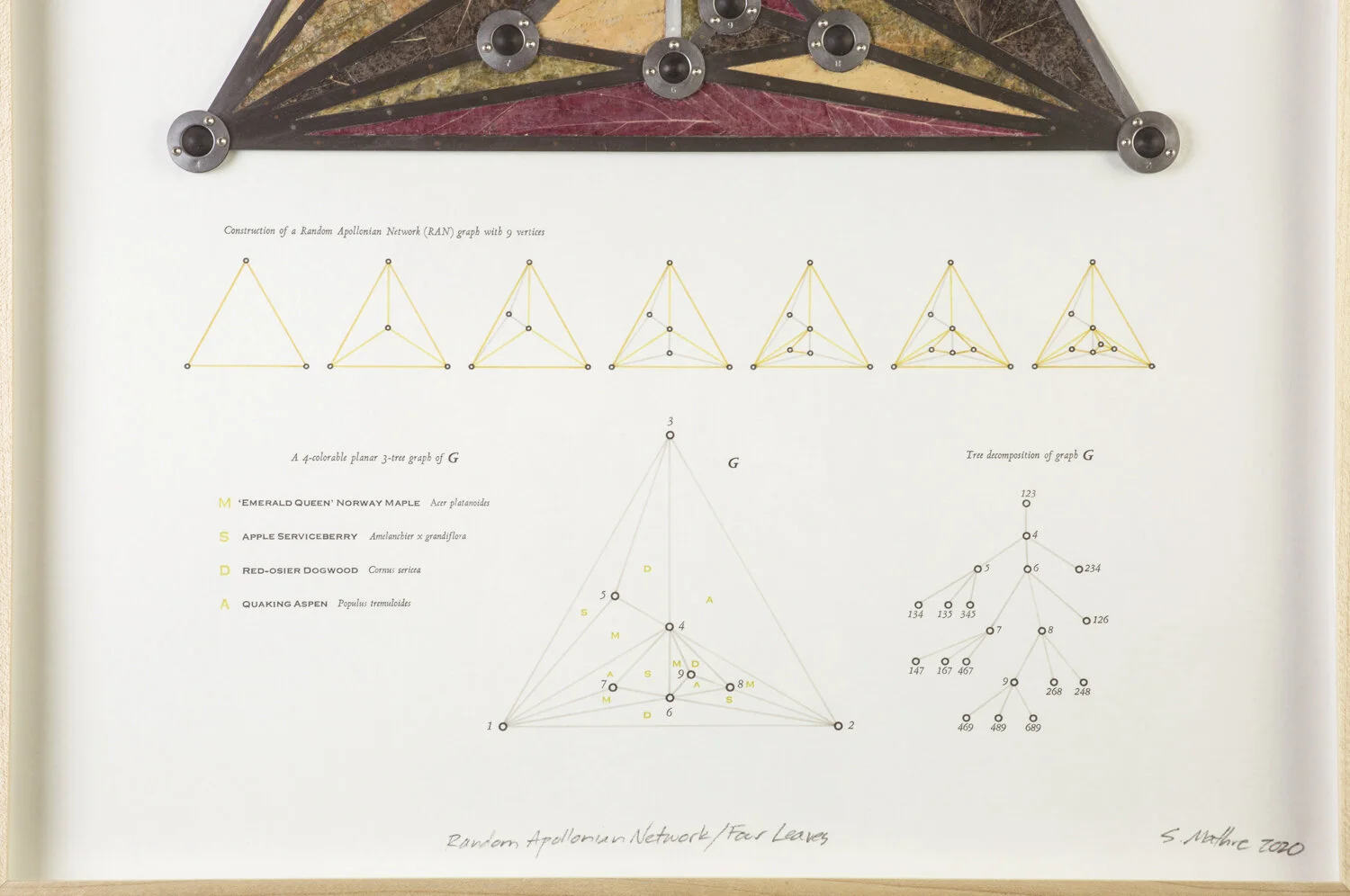 susiemathre-network bottom half.jpg