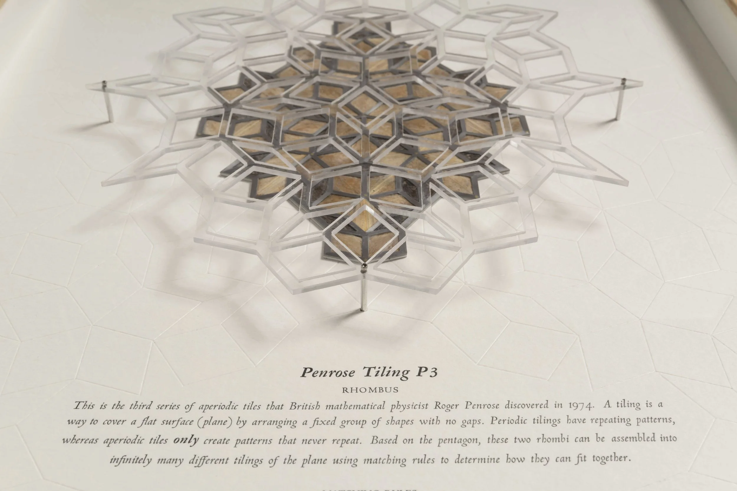  15” x 20”&nbsp;  Green gentian  (Frasera speciosa) , Quaking Aspen  (Populus tremuloides) , mild steel, beeswax, acrylic sheet, stainless steel nuts and bolts, hand-set lead type, drawing ink, pencil, hand fabricated, letterpressed on Strathmore 400