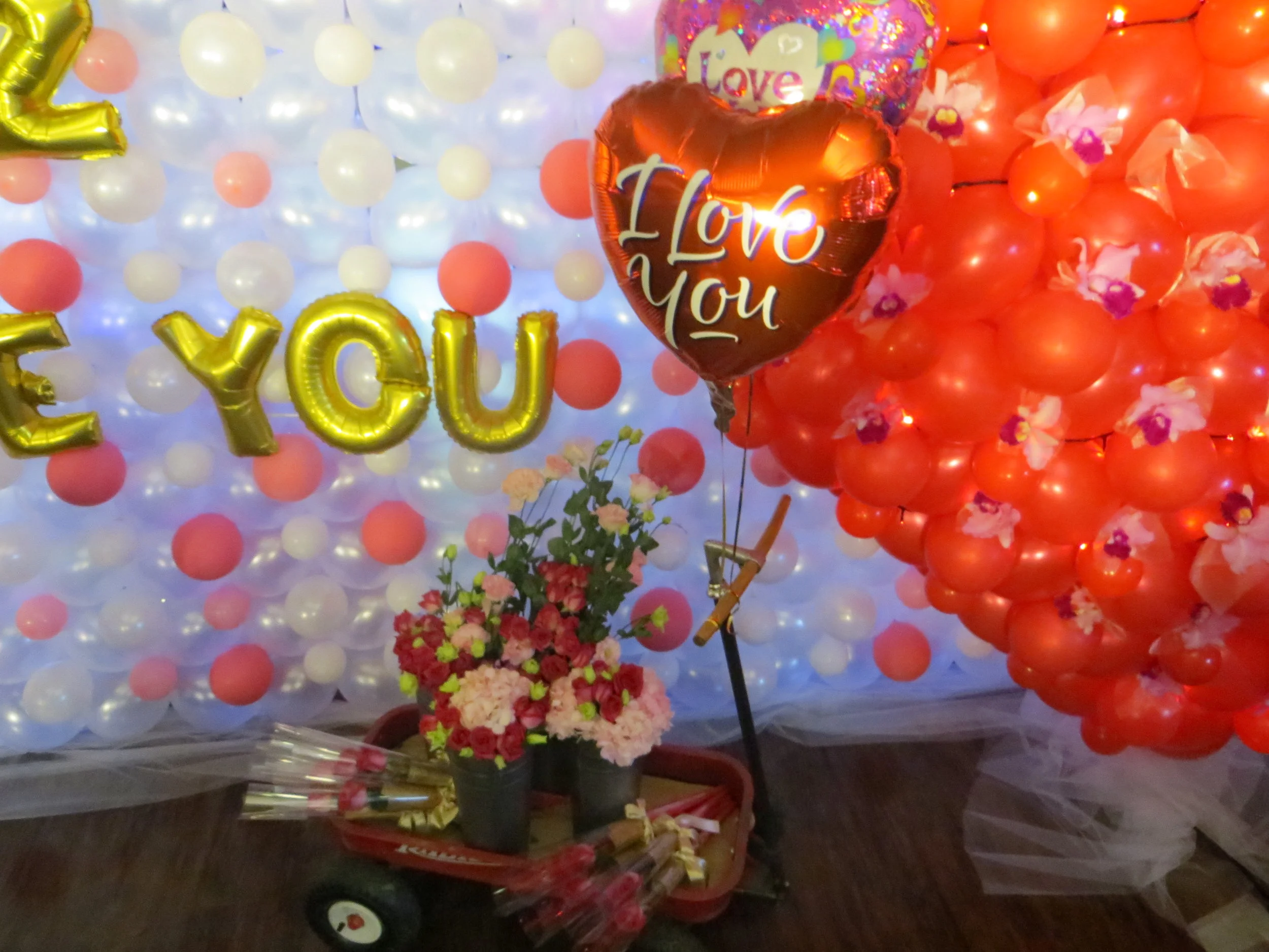 20170124威視52Hz, I Love You信義威秀首映會 (46).JPG