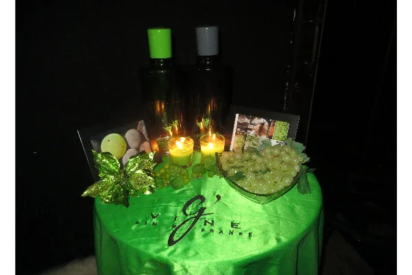 20141219g'VINE LMNT_精采案例縮圖-01.jpg