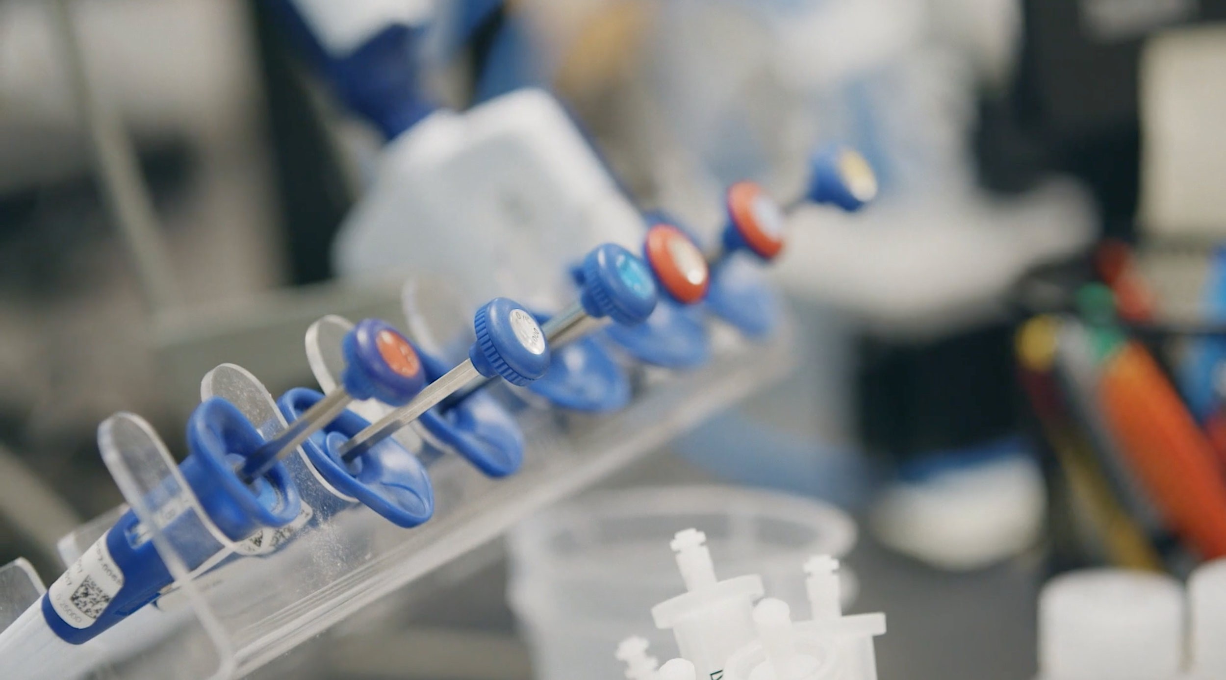 Screen Shot 2018-08-03 at 7.39.08 PM.png