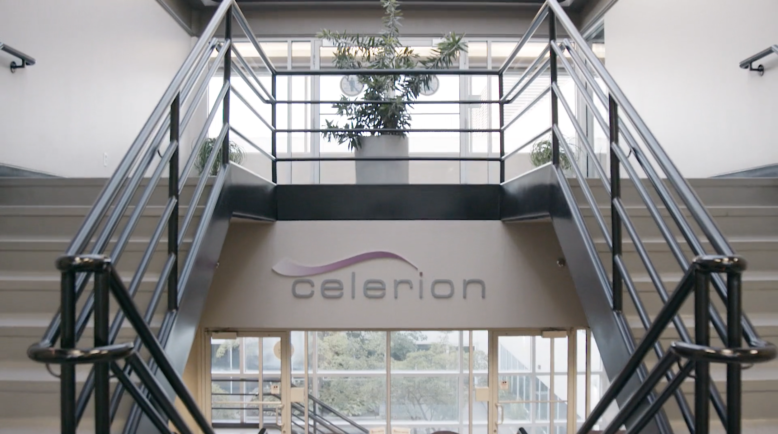 Screen Shot 2018-08-03 at 7.41.58 PM.png