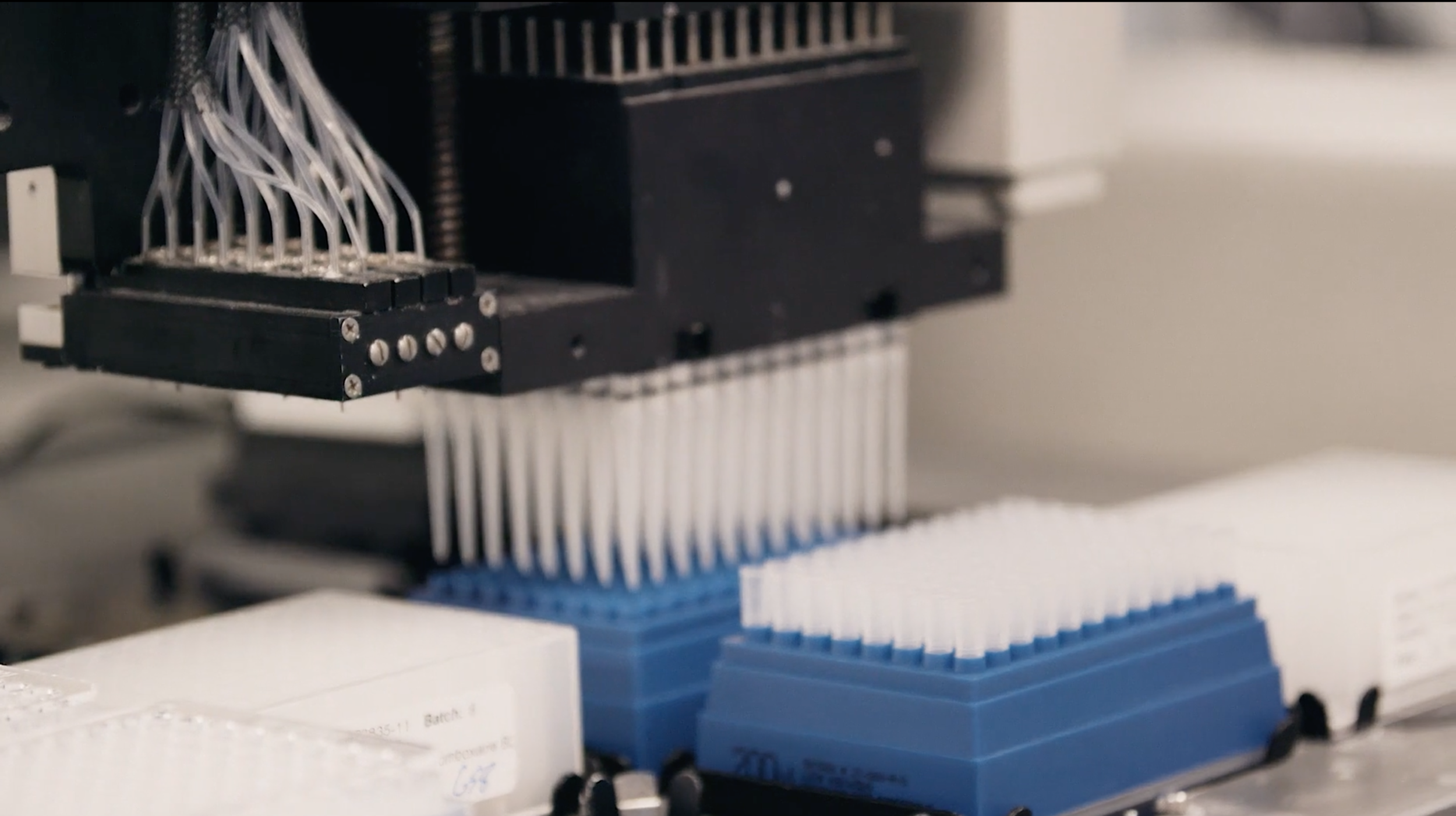 Screen Shot 2018-08-03 at 7.51.14 PM.png