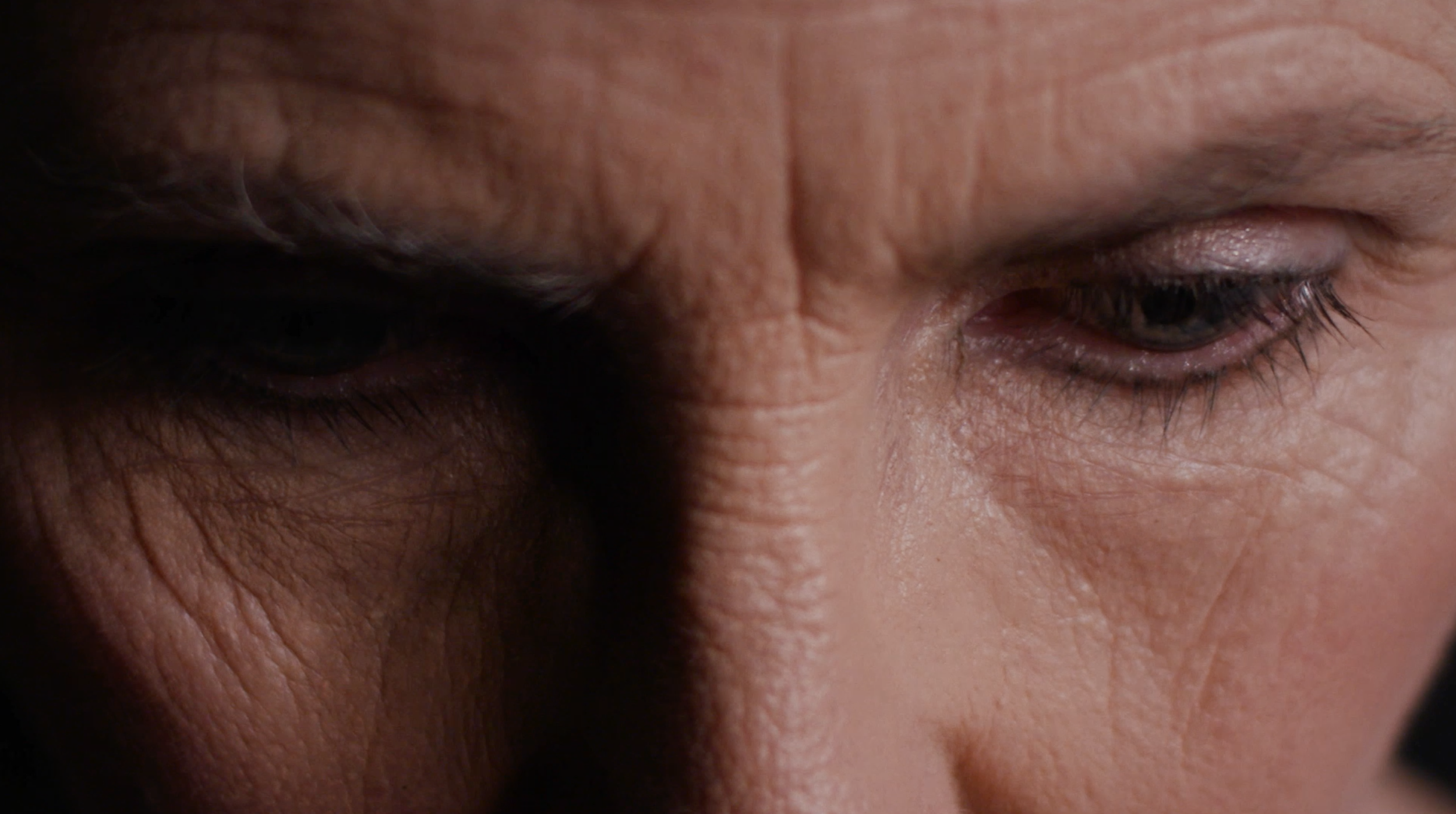 Screen Shot 2019-01-07 at 8.35.07 PM.png