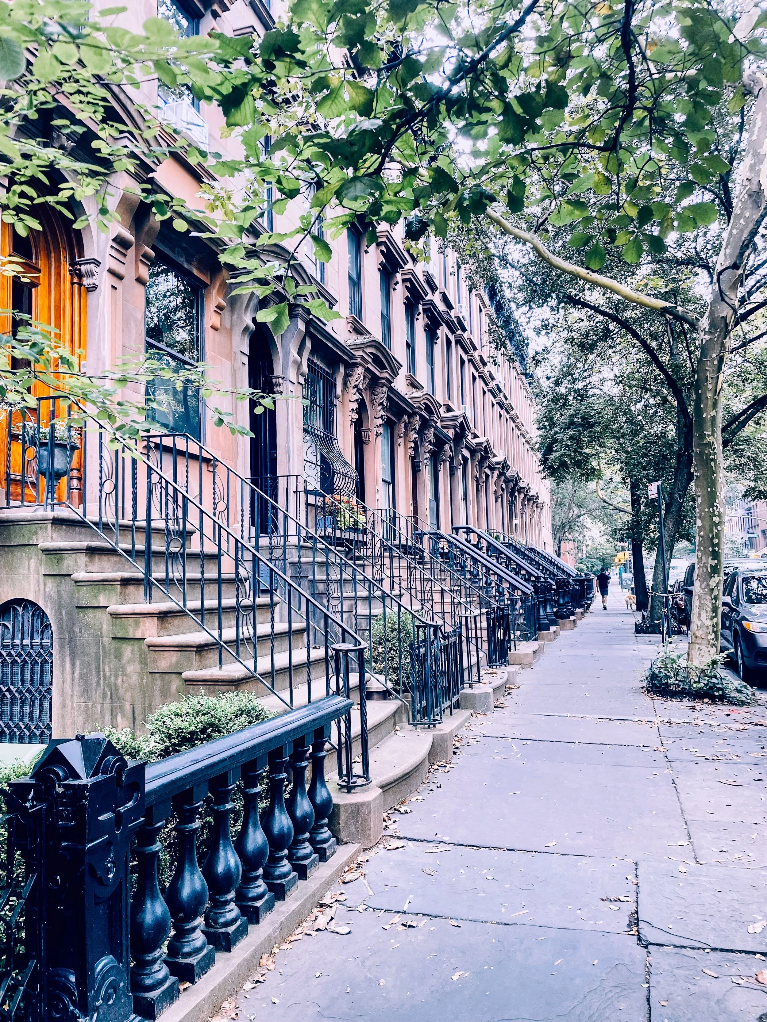 Joyful Urbanist_Brooklyn Brownstone C.jpg