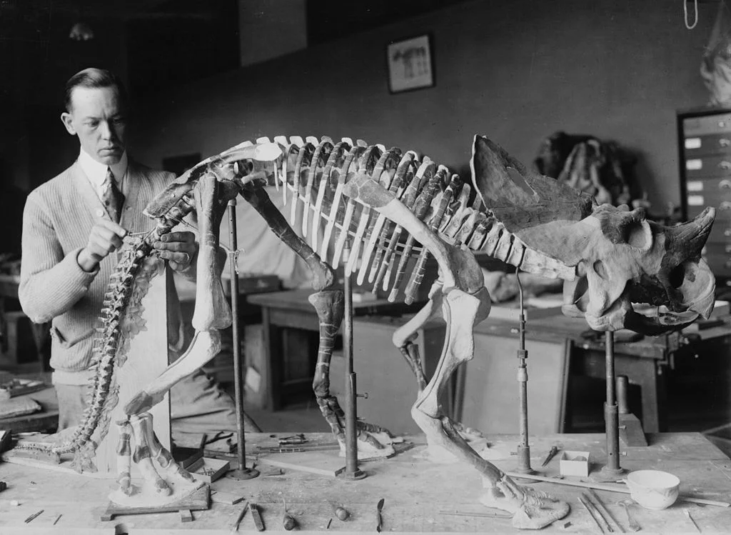 Archaeologists Dig Dinosaurs... April Fools!