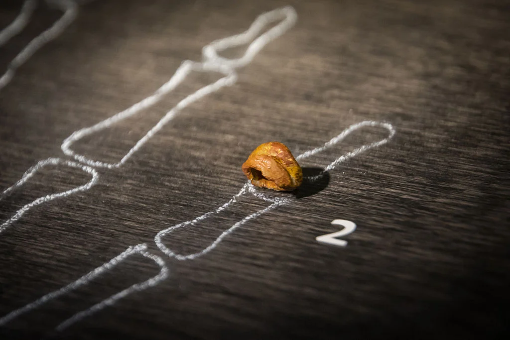 Episode 45 - What Is Going on with Those Denisovans?!