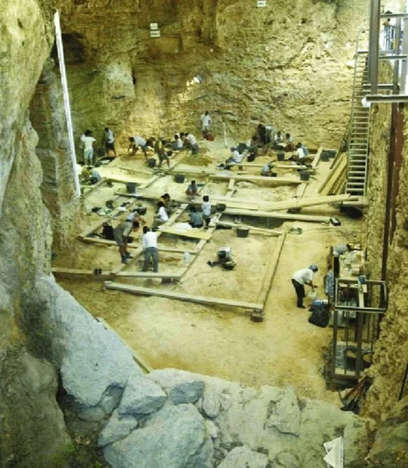 Episode 214 - Gimme (Rock)Shelter: Neanderthals at Home