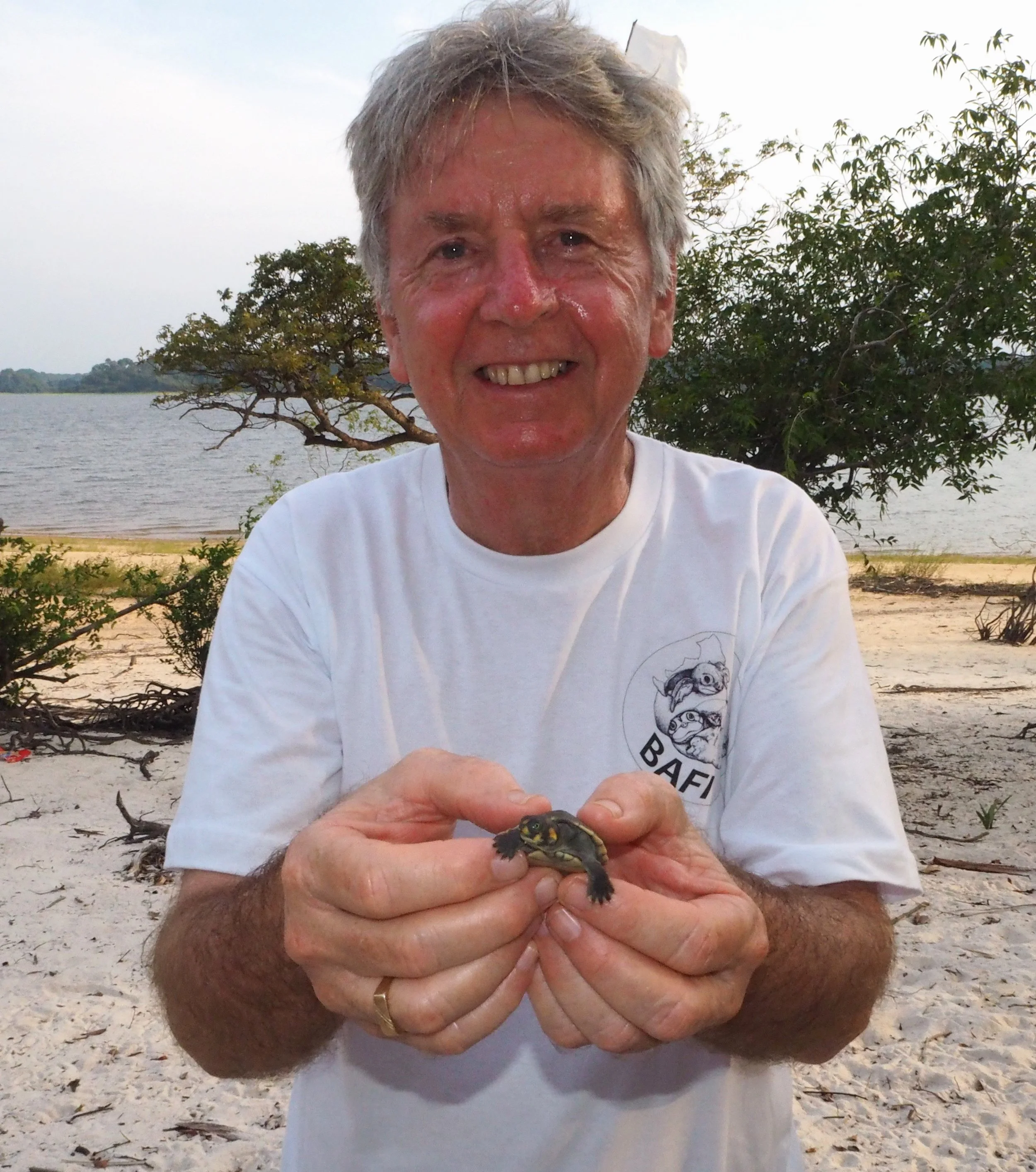 The Team — Tropical Turtle Group