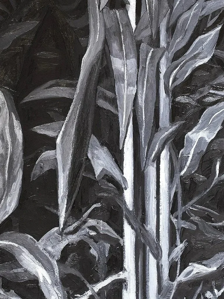 Zebra%2Bin%2Ba%2BCornfield%2B-%2BOil%2Bon%2Bcanvas%2B75x50_%2BTaurusBurns%2B2026.jpg