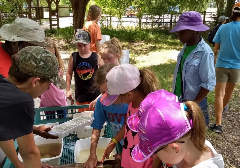 Armand Bayou Nature Center