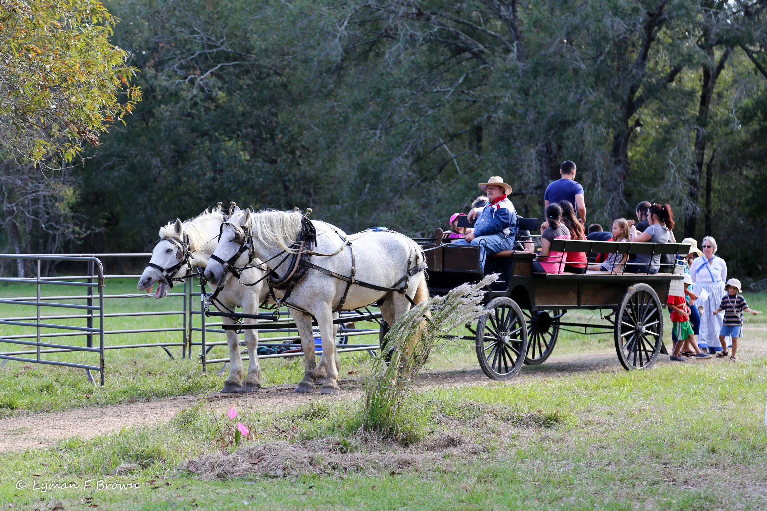 ABNC's Annual Fall Festival