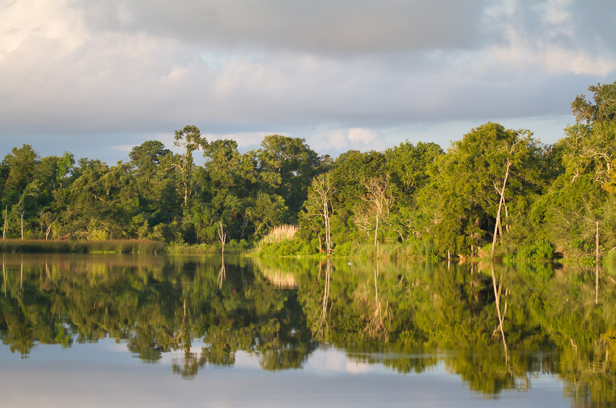 Bayou Reflections.jpg