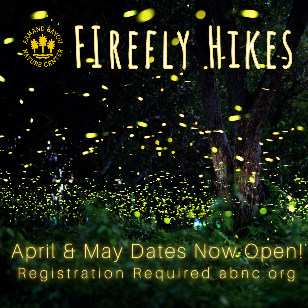 Firefly Hikes (2).png