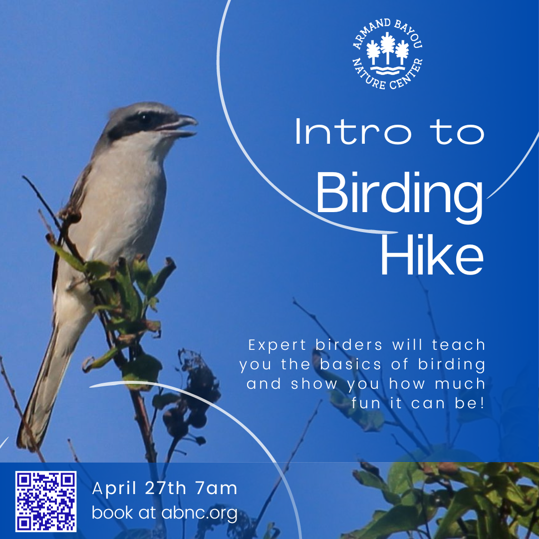 Intro to Birding Hike.png