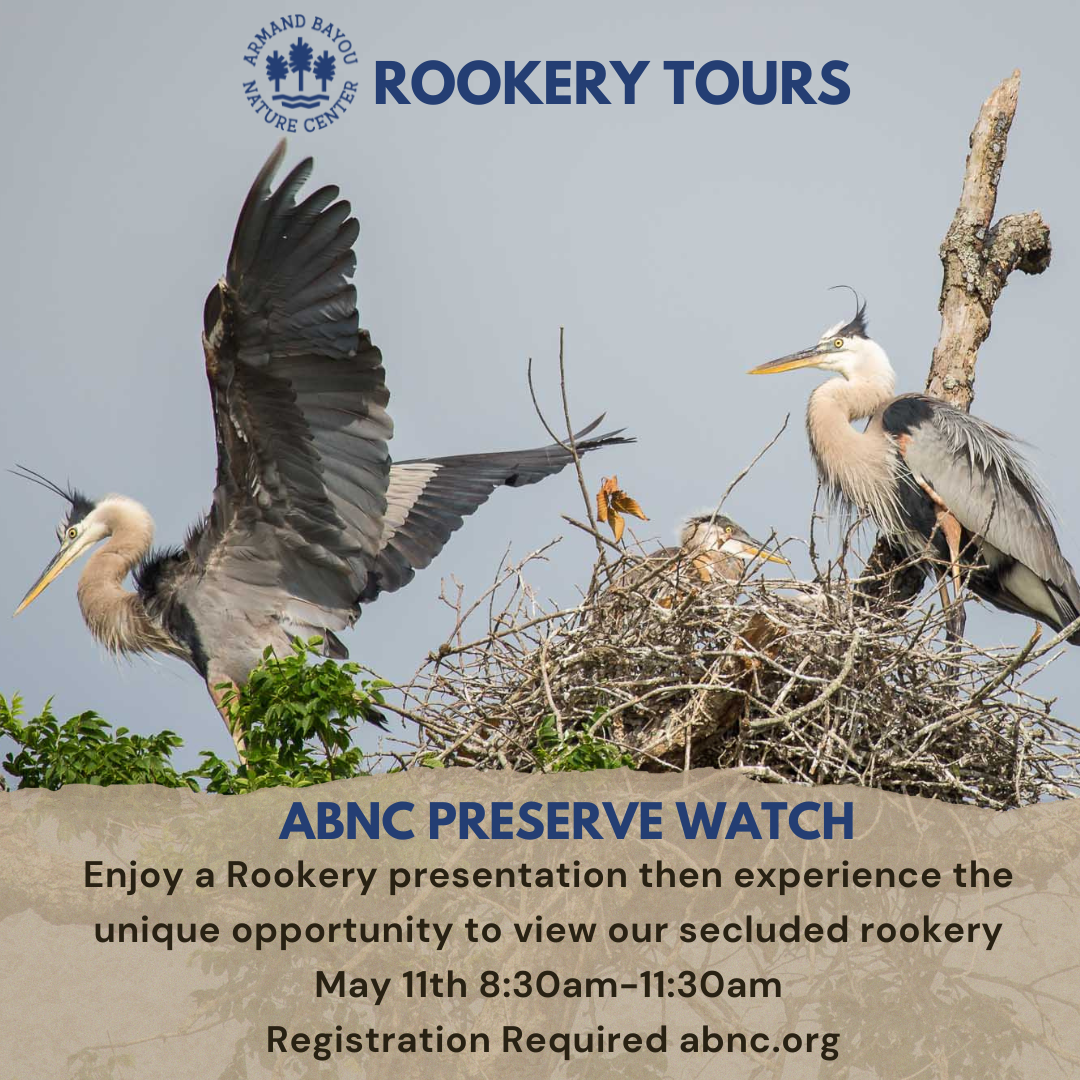 Rookery Preserve Watch (5).png