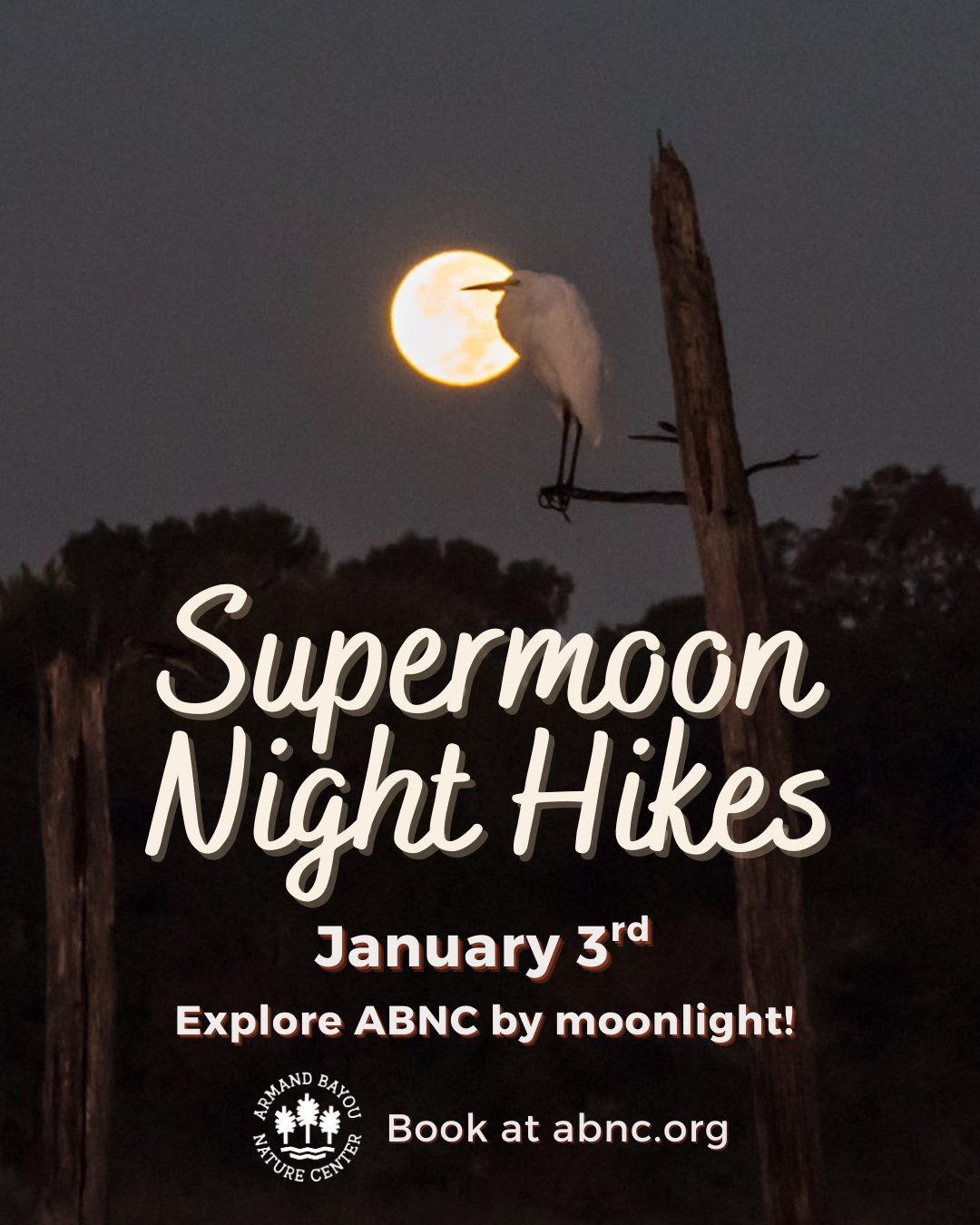 Supermoon Night Hikes 45.png
