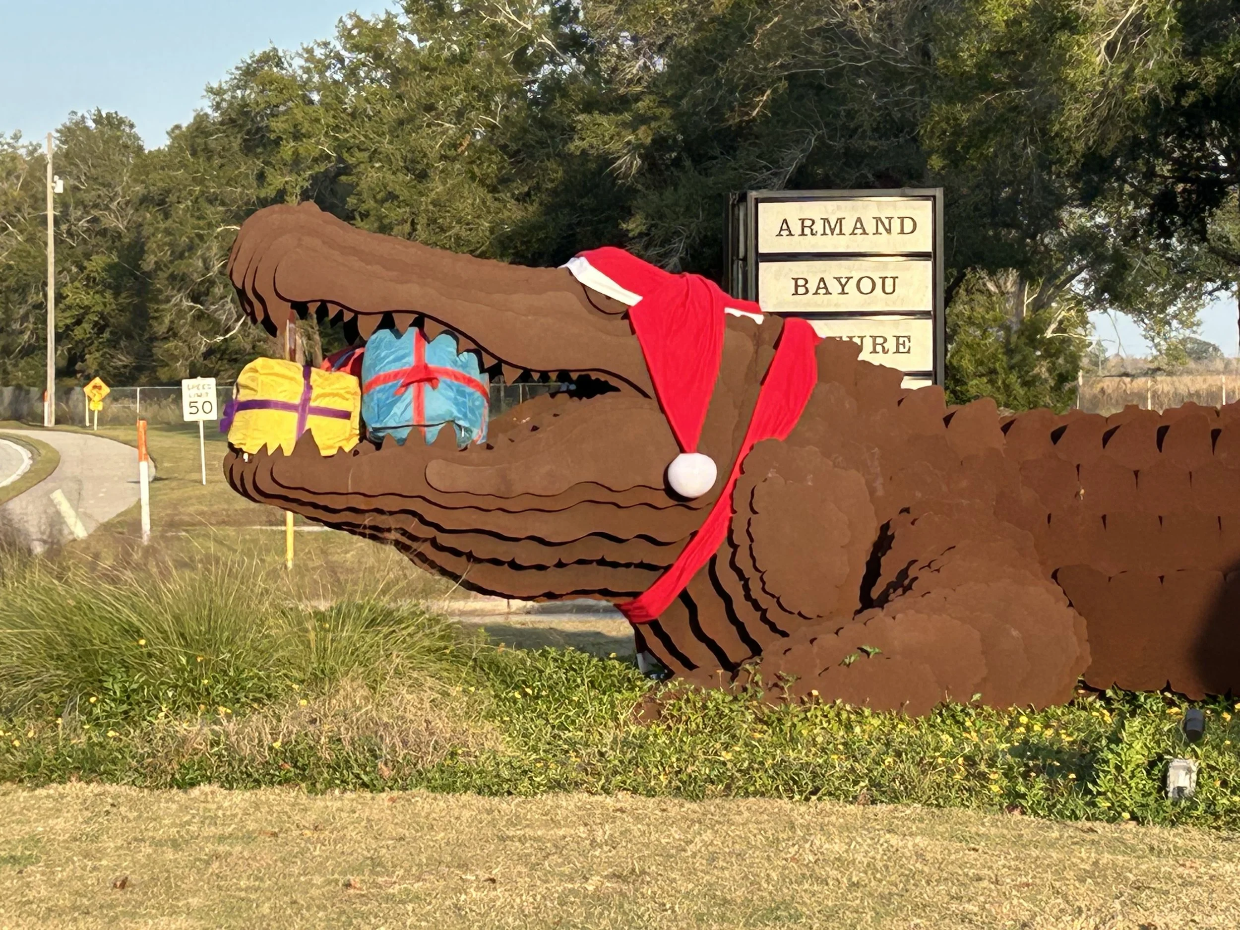 Sustainable Gift Wrapping