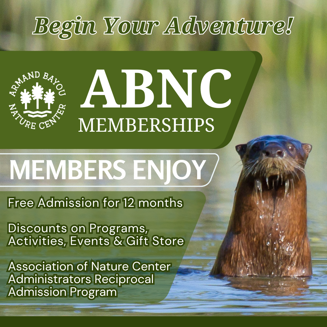 ABNC Membership.png
