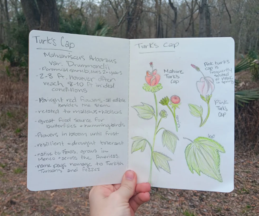 Screenshot 2026-02-10 122439.png