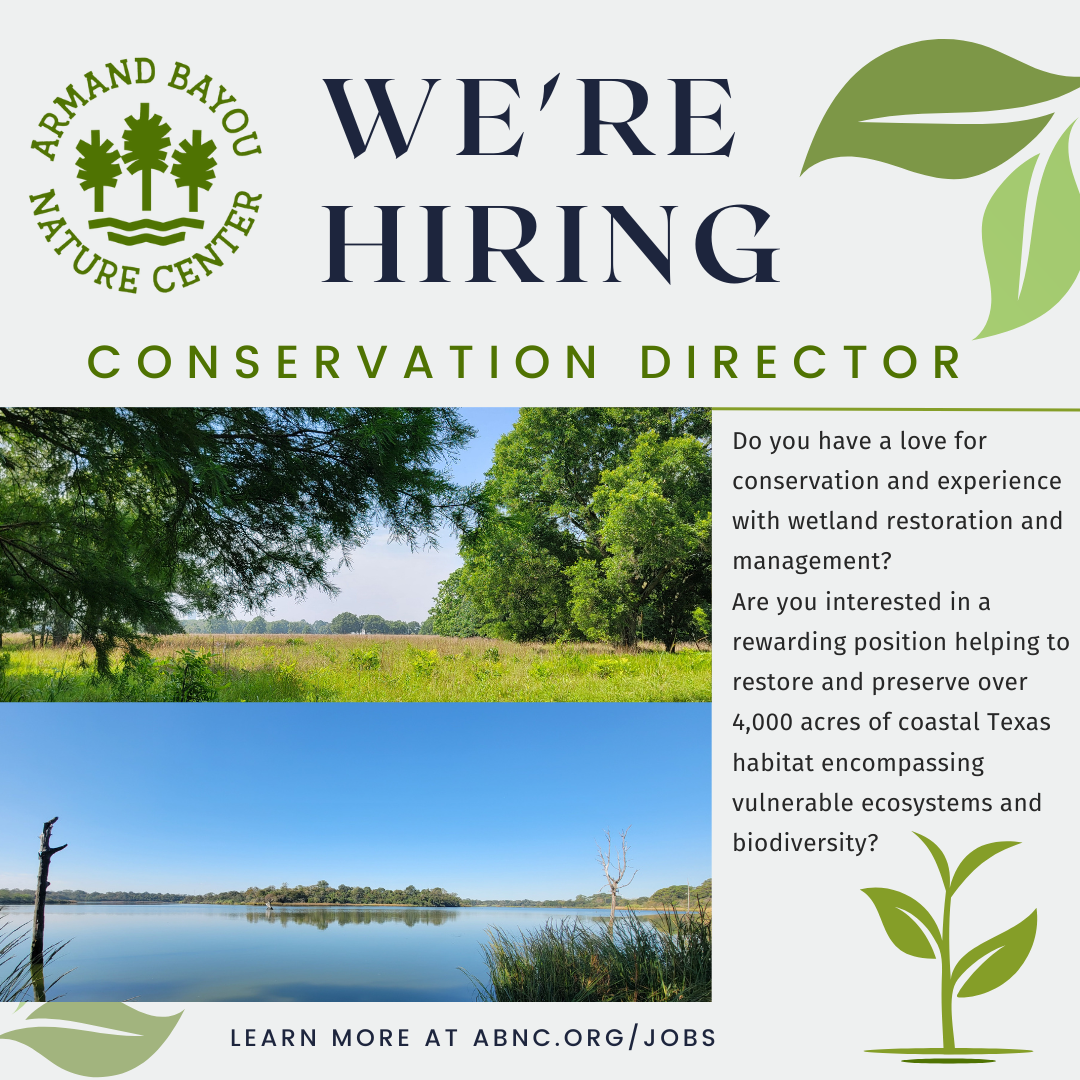 Conservation Director Job.png