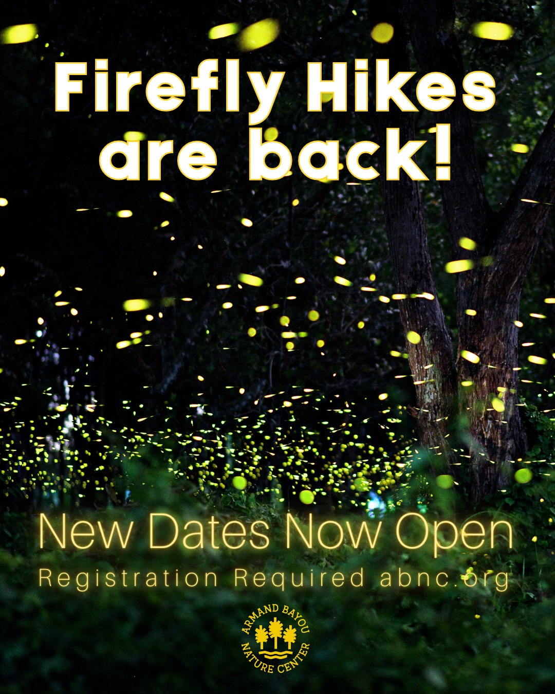 Firefly Hikes Instagram 45.png