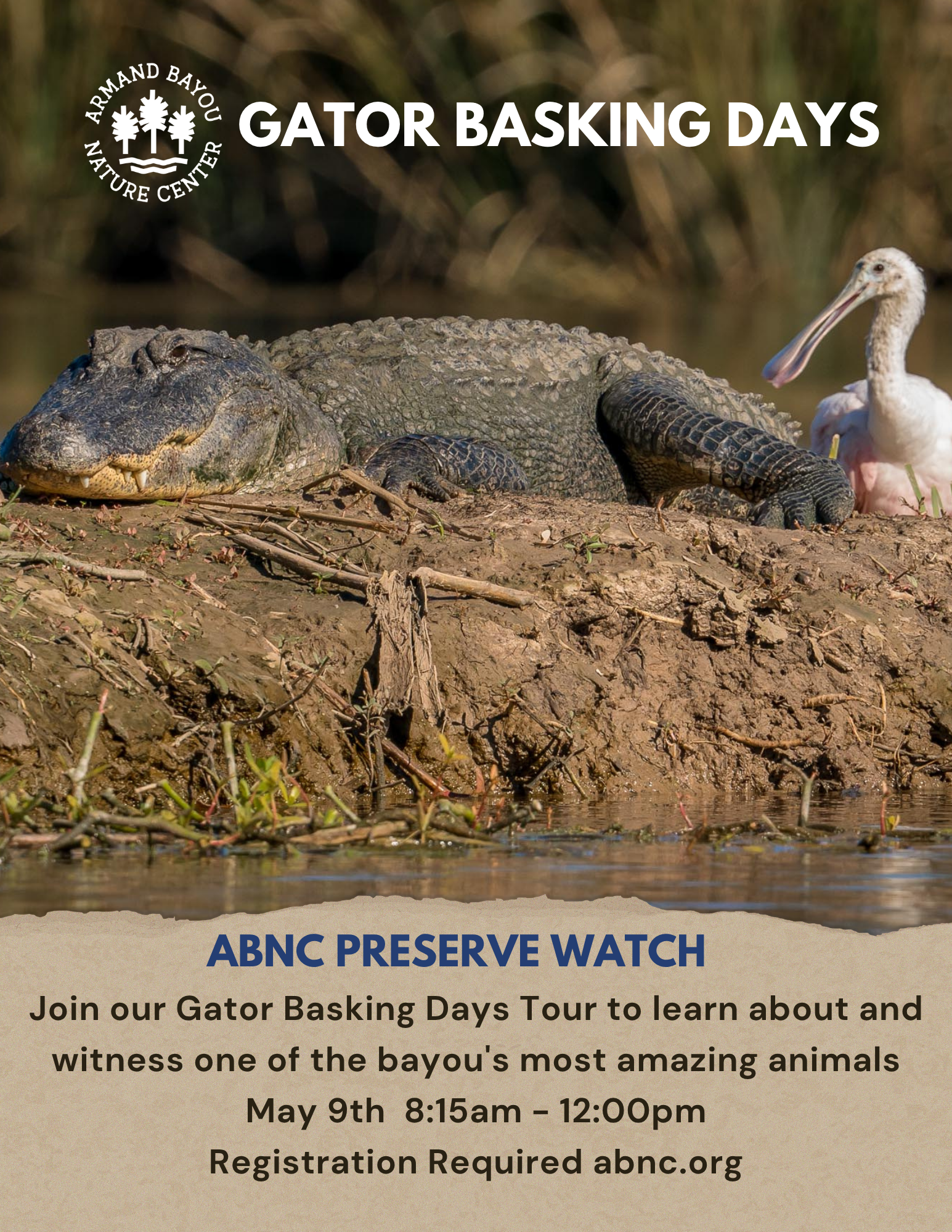 Gators basking day flyer (1).png