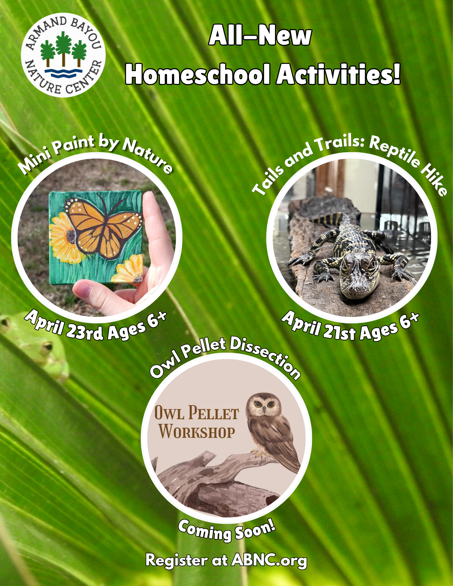 Homeschool Exclusive Activities.png