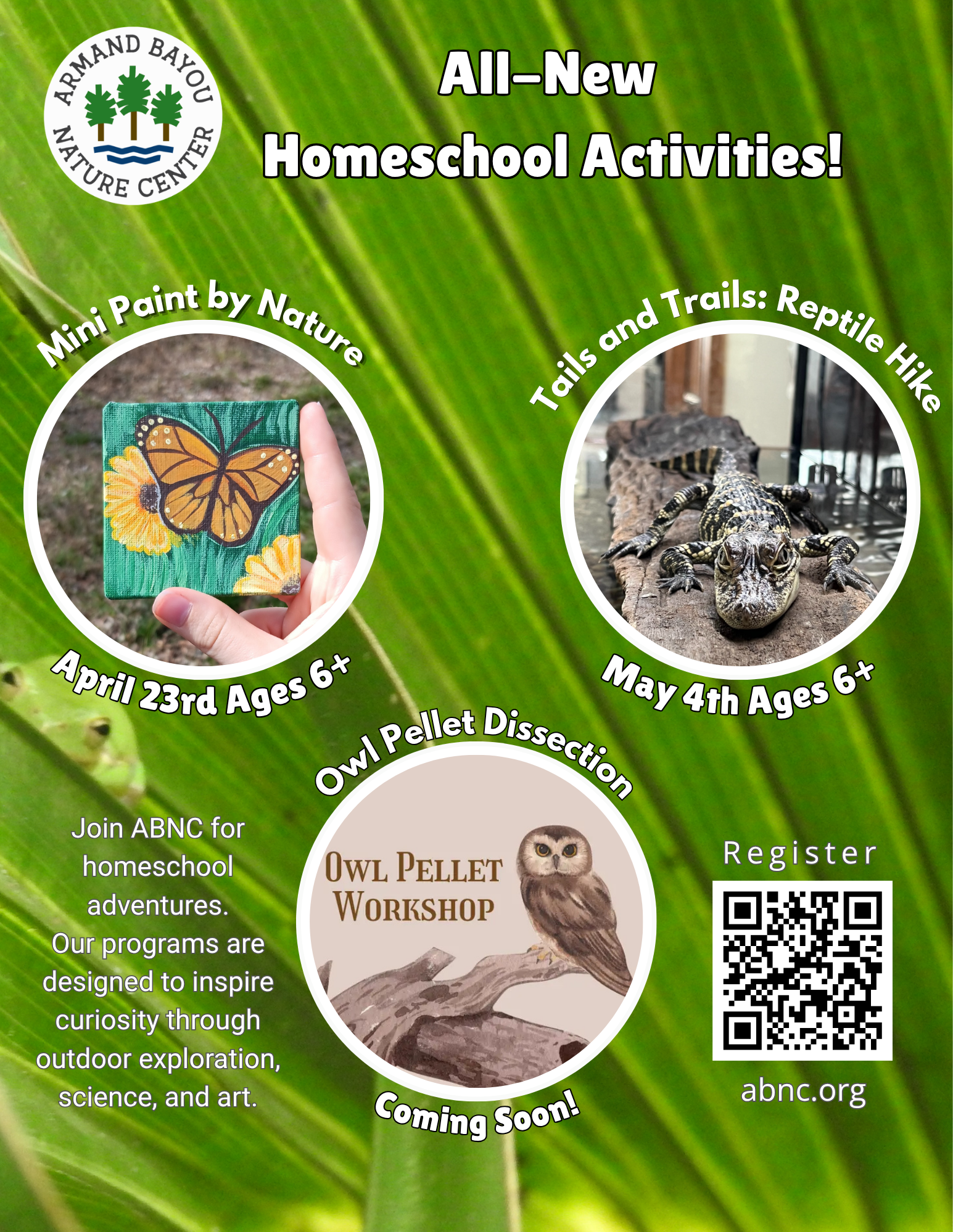 Homeschool Exclusive Activities (3).png