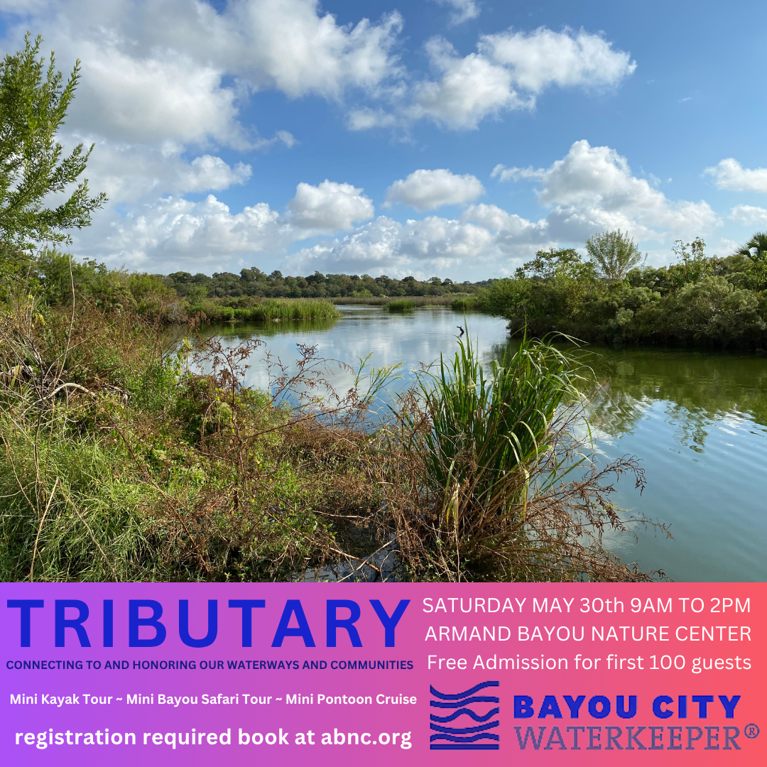 BCW Tributary 2024.png