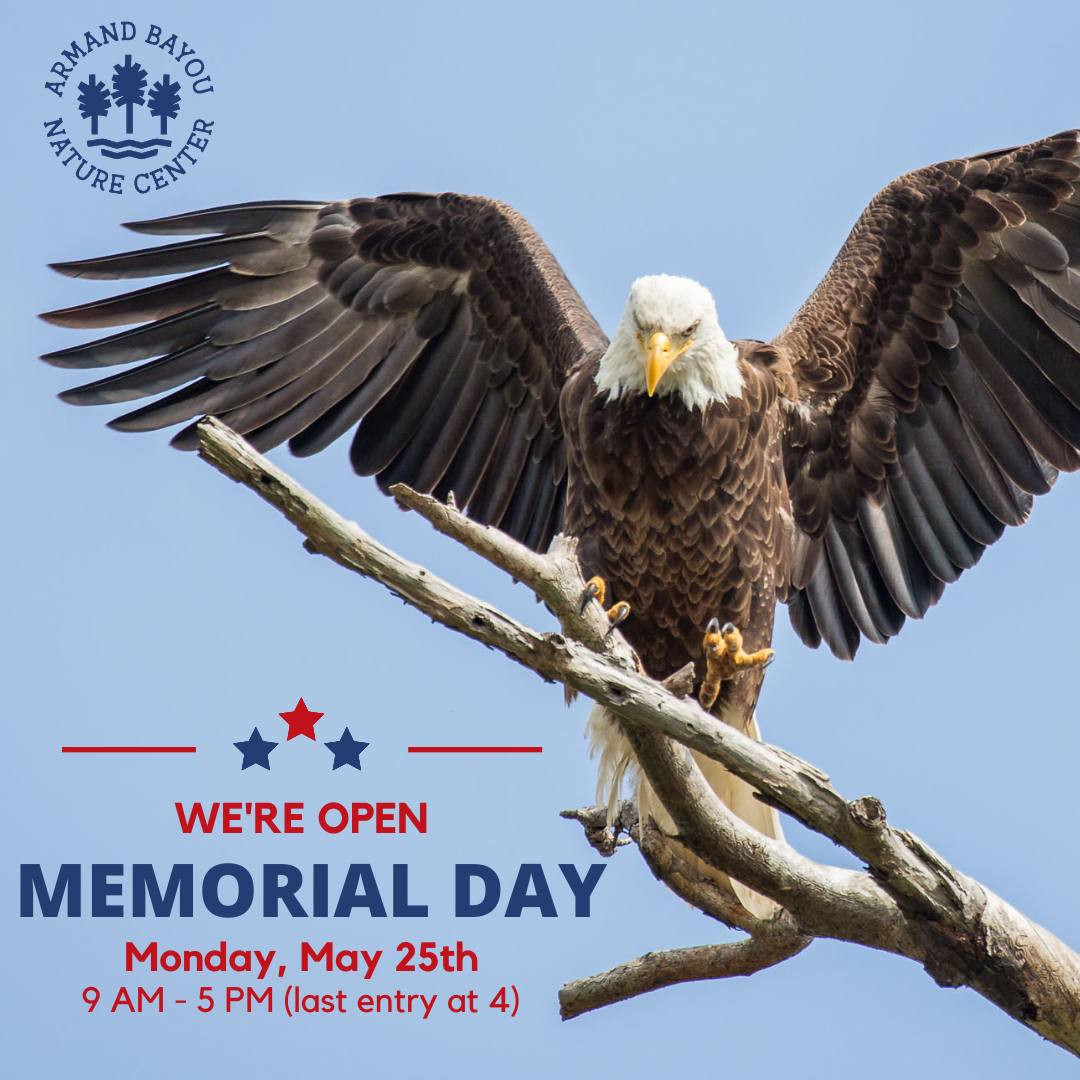 Memorial Day 2025 We're Open.png