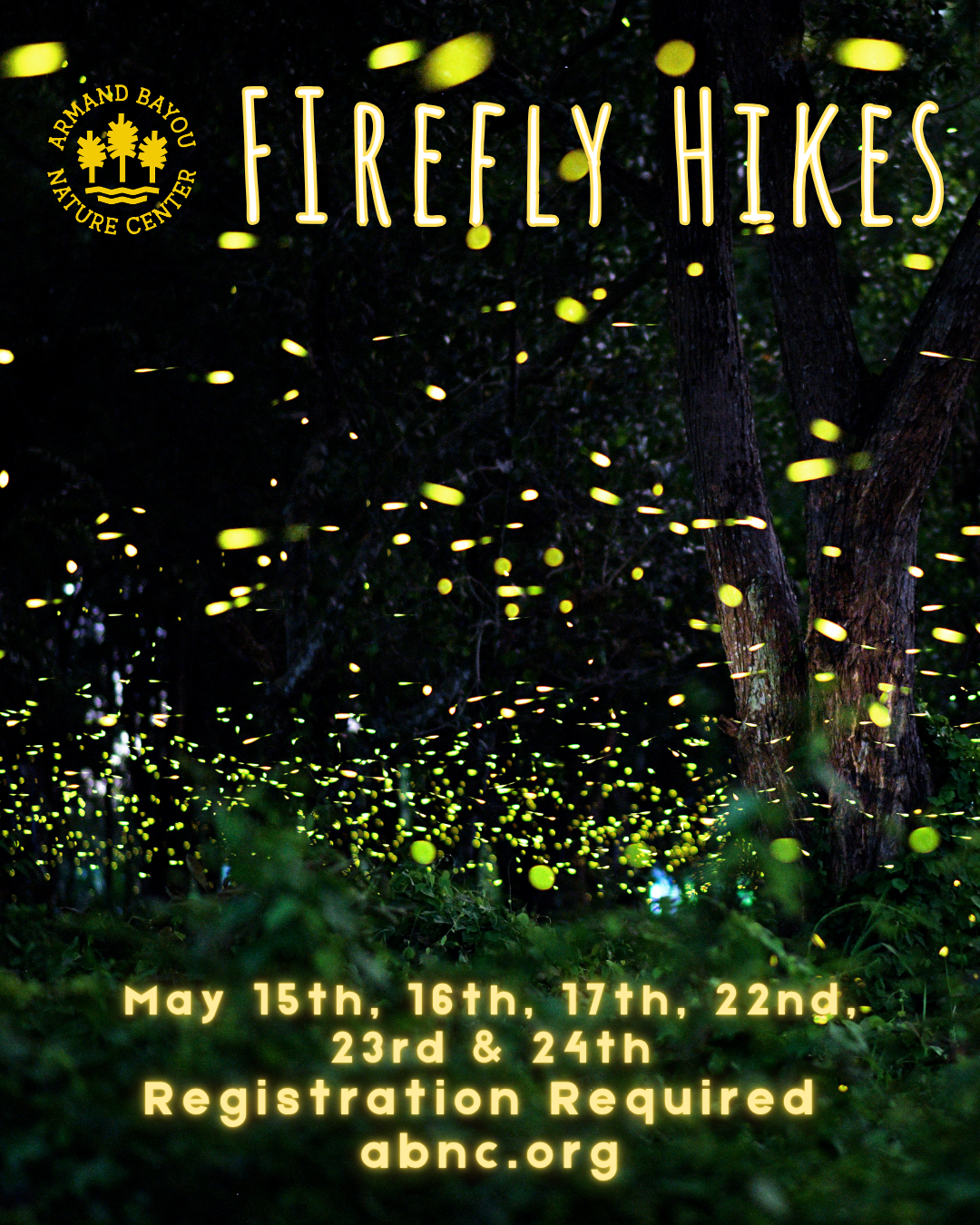 Firefly Hikes (1080 x 1350 px).png