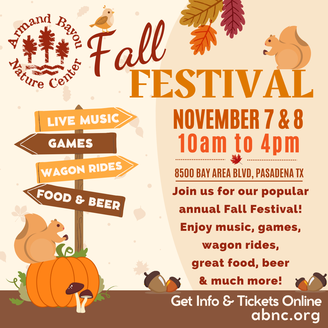 Web Fall Festival Sq 2026 (1).png