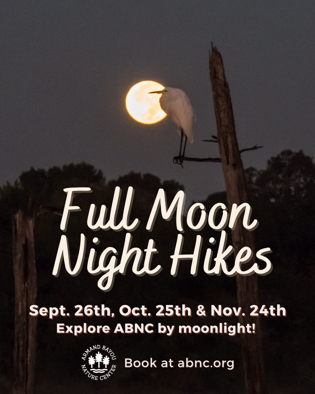 Full moon Night hikes 45.png