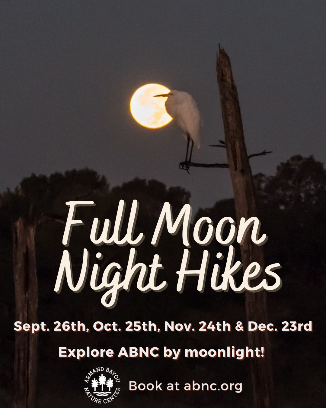 Full moon Night hikes 45 (1).png